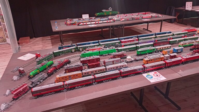 Fahrzeuge der  RhB  und  SBB